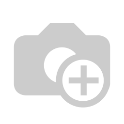 Pin / Bolt