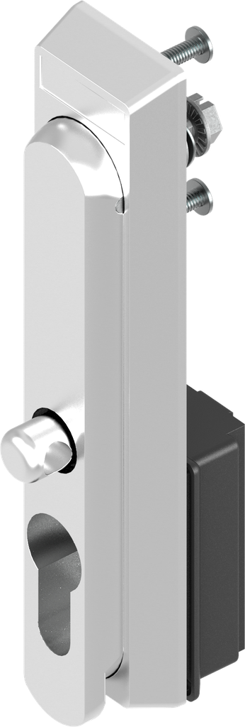 Swinghandle for padlock and profile half cylinder 40 mm (A = 30 mm), Stainless steel AISI 316