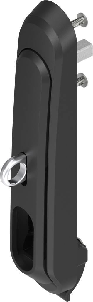 Schwenkgriff mit Haken für Vorhangschloß